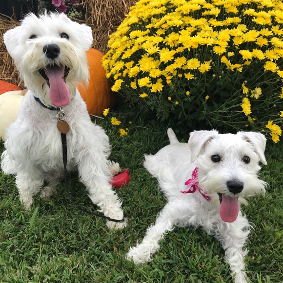 Hi, I’m Beth! - Picture 3 of 3